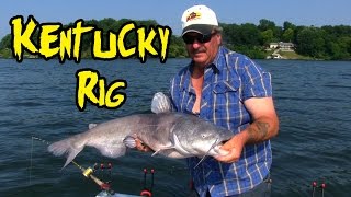 Catching Catfish using a Kentucky Rig [upl. by Sivolc662]