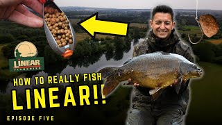 How to REALLY fish LINEAR FISHERIES  Missions  Go Catch [upl. by Yleek]