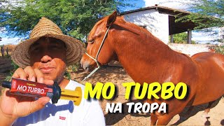 APLICANDO SUPLEMENTO MO TURBO NOS CAVALOS  ROTINA COM A TROPA BANHO  O DIA DIA DO VAQUEIRO [upl. by Rask]