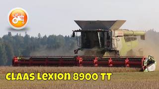 Harvest 2024  Claas Lexion 8900 TT combine amp Convio 1230 header [upl. by Ardnael]