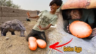 Big Golden Eggs Mil gay  Big Lizard Eggs [upl. by Laughlin]