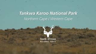 Tankwa Karoo National Park one of South Africas most underrated destinations [upl. by Ursulina]