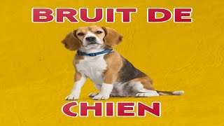 bruit de CHIEN 🐶 Aboiement [upl. by Ketchan]