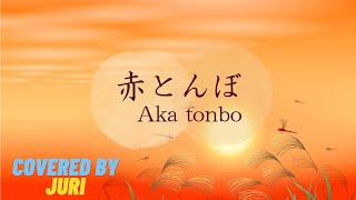 赤とんぼ Aka tonbo ＊ゆうやけこやけの赤とんぼ～♪歌詞つき【日本の歌百選】by 樹里 Juri [upl. by Osnerol]