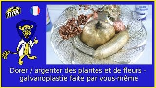 Comment dorer  argenter des plantes et de fleurs  galvanoplastie personnelle [upl. by Nasus]