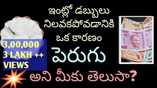 Curd  ఇంట్లో డబ్బులు నిలవకపోవడానికి ఒక కారణం పెరుగు అని మీకు తెలుసాCurd Destroys Lakshmi kataksham [upl. by Aranat]