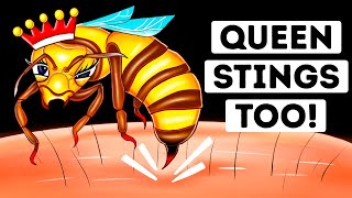 Are Queen Bee Stings More Dangerous We Found Out [upl. by Paterson]