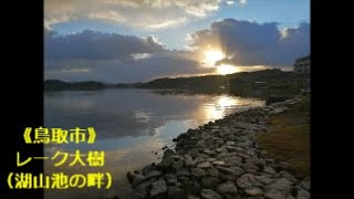 【西日本旅行･山陰編】2020119①：《鳥取市》レーク大樹（湖山池の畔） [upl. by Nyved]