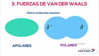 FUERZAS INTERMOLECULARES EN LAS PROTEÍNAS [upl. by Studley]