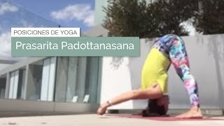 Posición de yoga Prasarita Padottanasana postura del gran ángulo con 4 variantes [upl. by Ahsinrac]