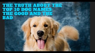 The Truth About the Top 10 Dog Names The Good and the Bad [upl. by Rodmun]