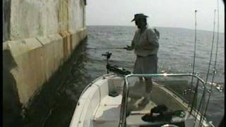 Worlds Greatest Rockfishing Video [upl. by Aikaj534]