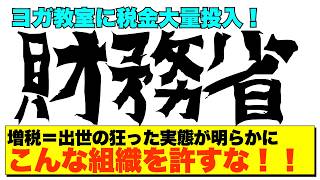 【財務省の暴走】9兆円ヨガ予算で国民激怒💢玉木代表に執拗な妨害の真相とは【政治AI解説・口コミ】 [upl. by Varin]