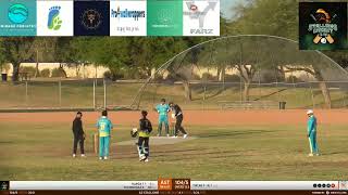 Stallions vs Cavs T20 [upl. by Kenji864]