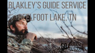 REELFOOT LAKE DUCK HUNTING WITH BLAKLEYS GUIDE SERVICE [upl. by Ralyat614]