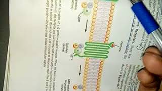 INTRODUCTION to ENDOCRINOLOGY ch 75 guyton fasr and easy review part 2 [upl. by Alema160]