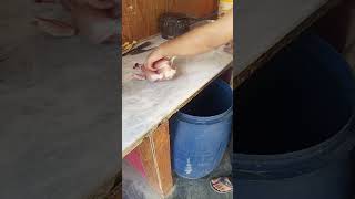 Cutting of Chicken Meat butcher chicken shortsfeed shorts [upl. by Yllac]