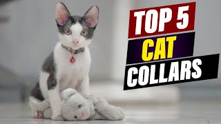 5 Reasons Why Your Cat Needs a Breakaway Collar [upl. by Durware]