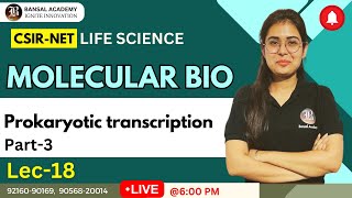 Lec18 Prokaryotic transcription  Molecular Bio CSIR NET Life Sciences 2023  Lecture series [upl. by Ursula]