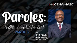 Paroles Tes paroles et les obstacles invisibles de ta destinée 3  Dr Michaux Mundala [upl. by Laubin326]