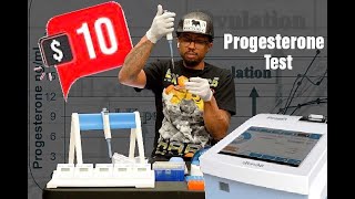 Wondfo FineCare Vet Progesterone Machine  How To Run At Home Progesterone Test For Dogs [upl. by Collie]