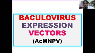 Baculovirus expression Vectors AcMNPV DrDNAPrimer [upl. by Beane]