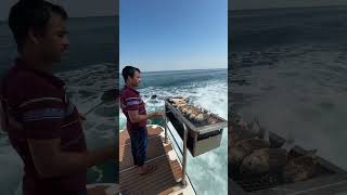 Live fish grill 🤤🤤🤤Yacht life sea [upl. by Einittirb658]