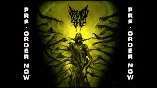 DEFEATED SANITY  Naraka New Track 2013 [upl. by Pelagi]