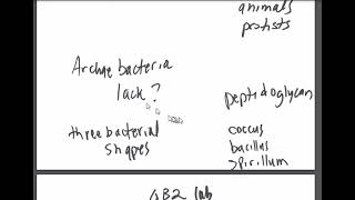 Gen Bio 2 low tech review  bacteria quiz [upl. by Aikcin]