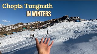 Winter trek Chopta Tungnath in Uttarakhand  Latest vlog 2023 Snowfall [upl. by Analahs867]