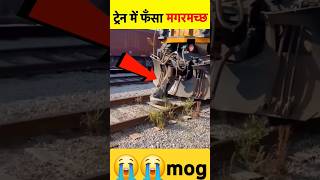 train railway railway indianrailwaytrainsimulatornewroute you tube shorttrain video 2024 [upl. by Ahsert87]