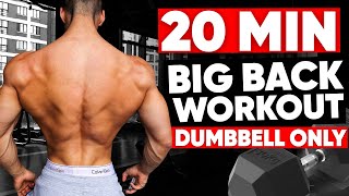 20 MINUTE BACK WORKOUT DUMBBELLS ONLY [upl. by Lsil289]