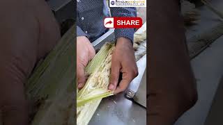 Sugarcane juice machine  Ganna juice machine  Business idea shortsfeedbusiness sugercane [upl. by Irrehs]