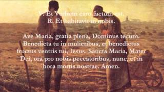 Catholic Prayers  Angelus Latin [upl. by Manlove]