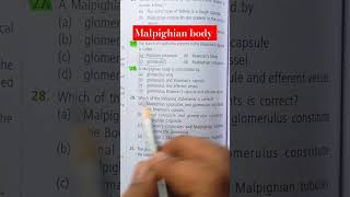 NEET ✅️✅️ malpighian body is constitued by youtubeshort neet biologybook [upl. by Sinnard]