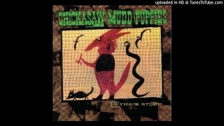 Chickasaw Mudd Puppies  8 Track Stomp  03Night Time Aint Got No Eyes [upl. by Ramed]