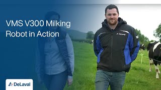 DeLaval VMS V300 Milking Robot in Action on Simon Butlers Farm in Adare [upl. by Nahtnaoj]