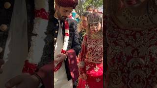 Wakhi Wedding weddingseries wedding wakhi short hunza gilgitbaltistan gojal viralvideo [upl. by Lodi]