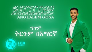 Bilillee  Andualem Gosa  New Oromo Music Lyrics 2024  Leo Lyrics [upl. by Arelus303]