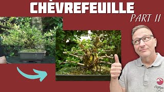 CHÈVREFEUILLE SHOHÏN EN BONSAÏ  TAILLE DES STRUCTURES  Épisode 2  🌱 NEJIKAN BONSAI 🌱 [upl. by Nrobyalc]