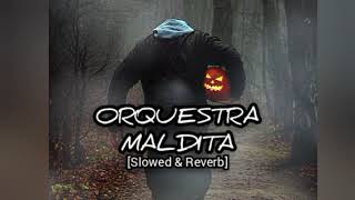 ORQUESTRA MALDITA Slowed amp Reverb Remix Song [upl. by Anoj79]