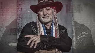 Terry Johnson  Willie Nelson Tribute [upl. by Antonino]