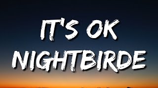 Nightbirde – It’s Okay Lyrics [upl. by Issiah]