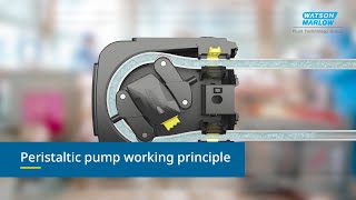 How do peristaltic pumps work Industrial  WMFTS [upl. by Lahpos]