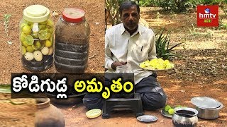 Kodigudla Amrutham Egg Amino Acid Preparation  Natural Farming  hmtv Agri [upl. by Carver]