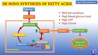 4 De Novo synthesis of Fatty acid  Lipid metabolism4  Biochemistry  NJOY Biochemistry [upl. by Enotna]