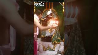 Shri Ranchhodraiji live Darshan Mangla Aarti [upl. by Nnayllas]