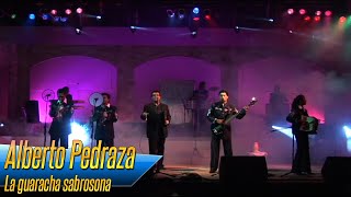 Alberto Pedraza  La guaracha sabrosona [upl. by Cristionna]