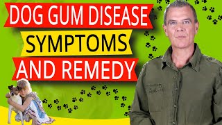 Symptoms Of Gum Disease In Dogs 5 Symptoms Home Remedy and Best Diet [upl. by Eelahs731]