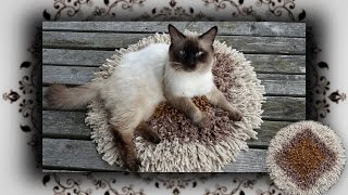 DIY 😻 Vorlege Teppich für Katzentoilette  Cat Litter Mat [upl. by Nigel]